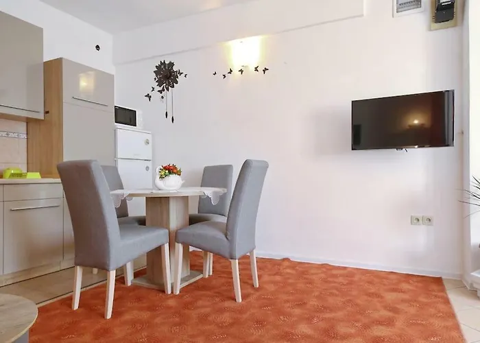 Studio Apartment Visnjik